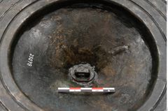 Foto von Bronzephalere (NHMW-PRAE-025079)